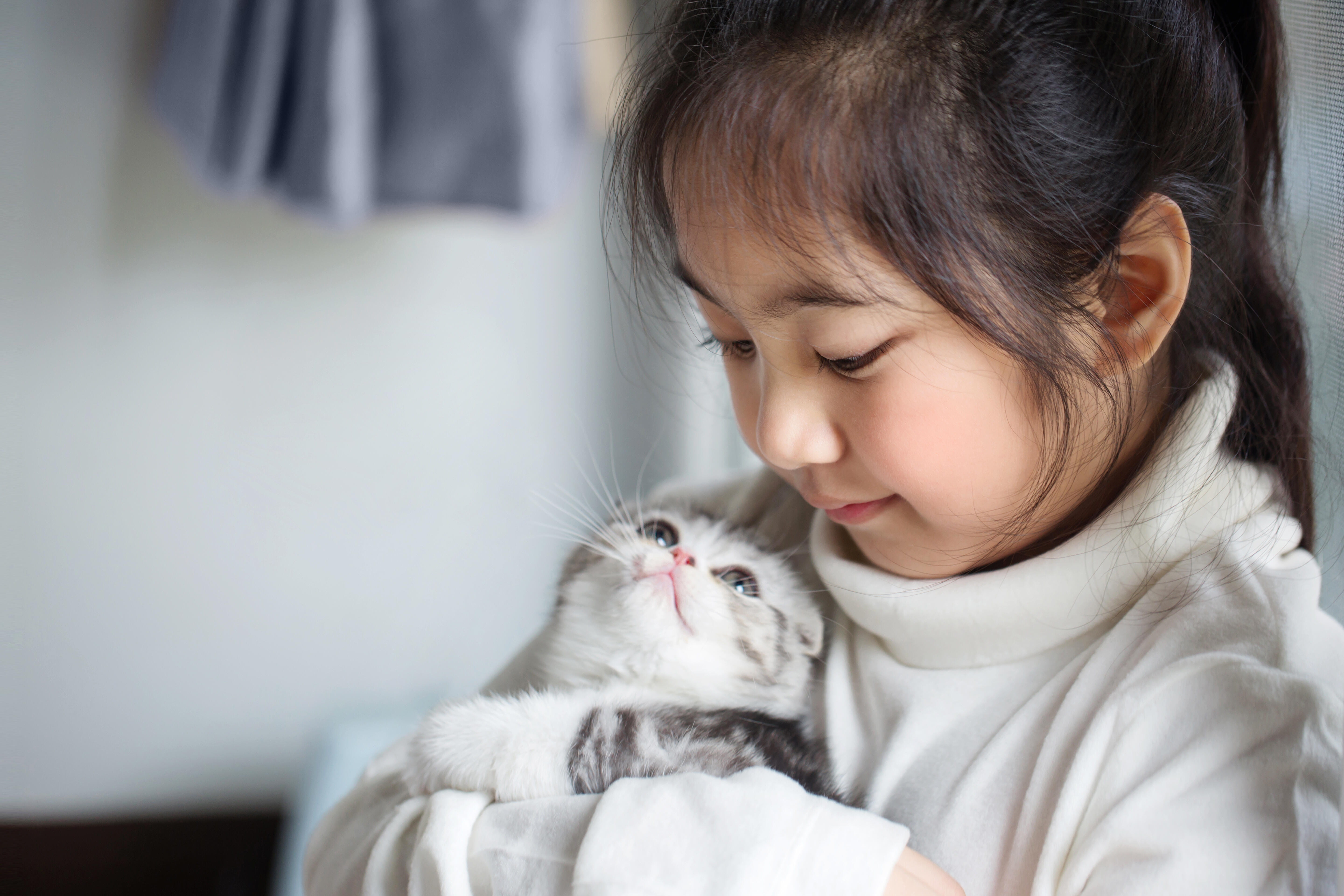  A young girl looks down and smiles at a kitten she is holding.
